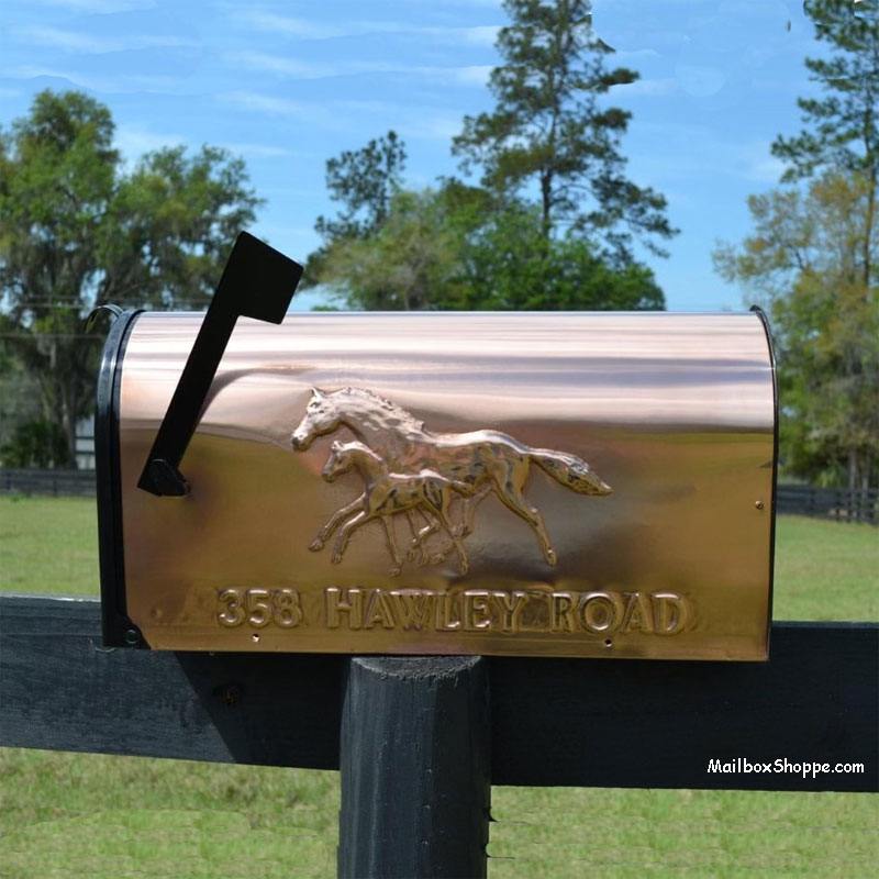 still-river-mare-foal-mailbox