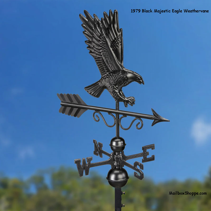 1979-Majestic-Eagle-Black-Beauty