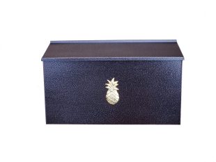 Large Pineapple Wall Mailbox
