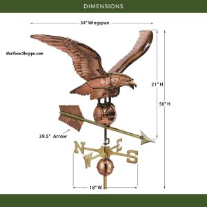 956-Smithsonian-Eagle-Dimensions