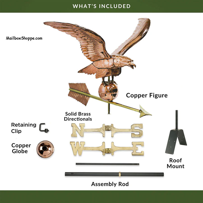 956-Smithsonian-Eagle-Package